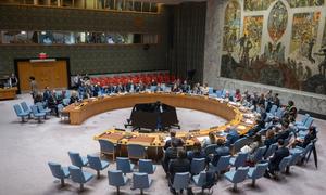 Vista general de la reunión del Consejo de Seguridad de la ONU sobre la situación en Bosnia y Herzegovina.