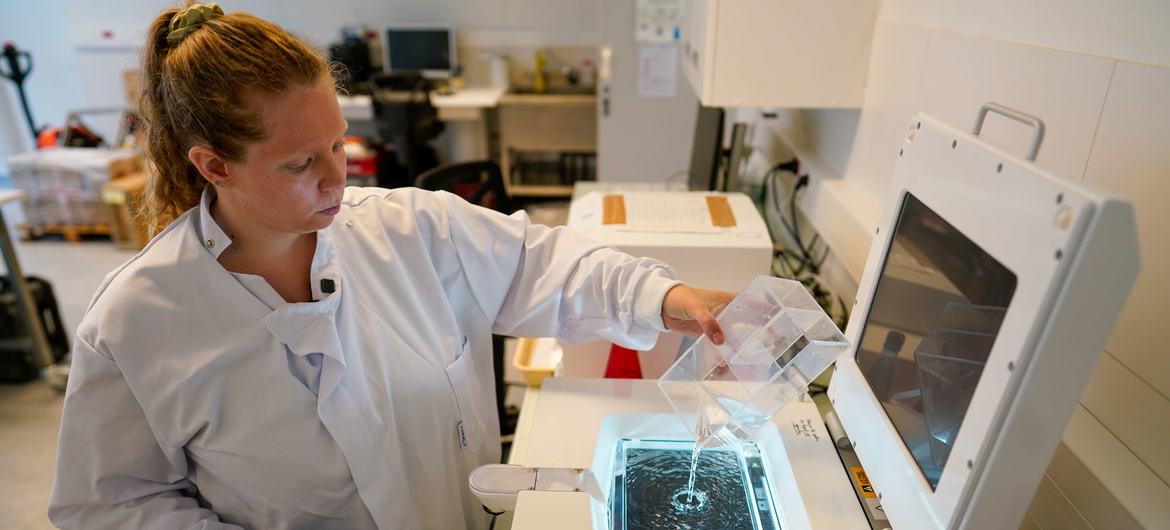 Dia Mundial da Ciência para a Paz e o Desenvolvimento destaca o papel significativo da ciência na sociedade 