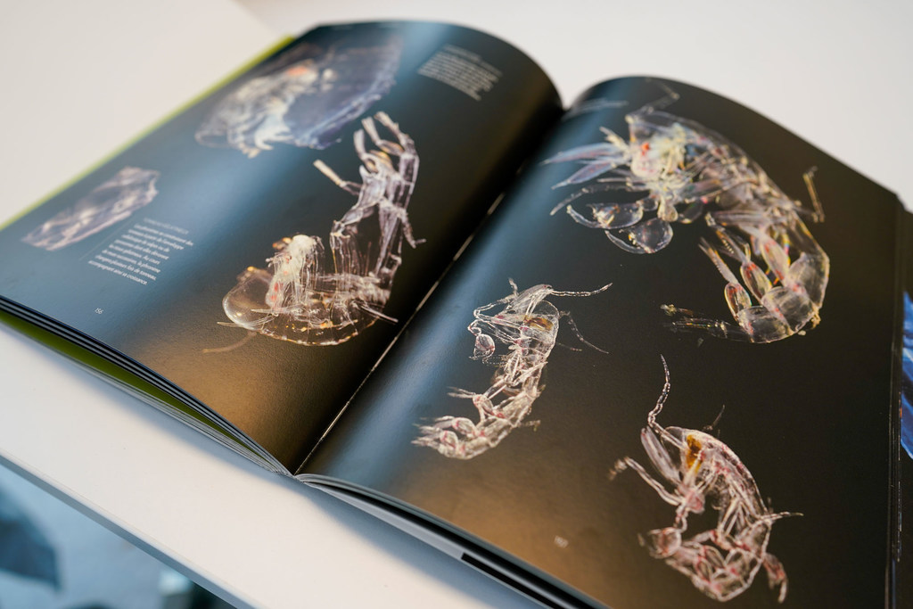 Un libro abierto que muestra fotografías de alta resolución de organismos marinos transparentes, como el zooplancton, sobre páginas oscuras.