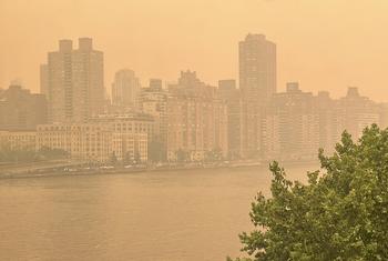 الدخان الناجم عن حرائق الغابات في كندا يسافر عبر الحدود ويلف مدينة نيويورك في وقت سابق من هذا الصيف