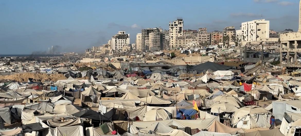 Las tiendas de campaña de los desplazados se agolpaban a lo largo de la franja costera de la ciudad de Gaza, en la parte norte de la Franja de Gaza. Las tiendas de campaña de los desplazados se agolpaban a lo largo de la franja costera de la ciudad de Gaza, en la parte norte de la Franja de Gaza.