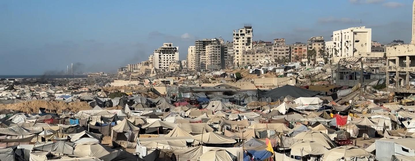 Des tentes de personnes déplacées s'entassent le long de la frange littorale de la ville de Gaza, dans le nord de la bande de Gaza.