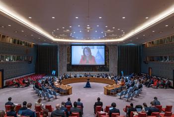 غادة فتحي والي، المديرة التنفيذية لمكتب الأمم المتحدة المعني بالمخدرات والجريمة، تقدم إحاطة لمجلس الأمن حول السلم والأمن في أفريقيا