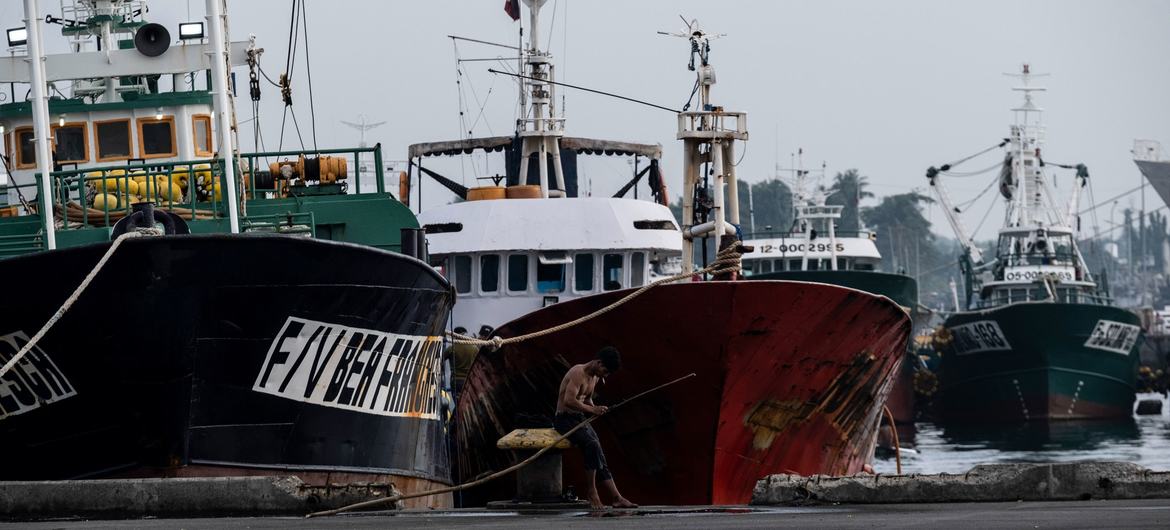 渔船停靠在菲律宾桑托斯将军城港。 