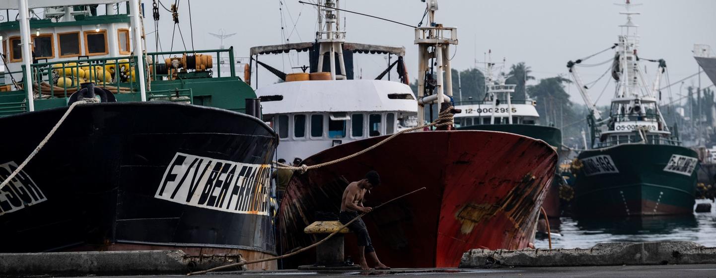 Bateaux de pêche amarrés dans le port de General Santos, aux Philippines.