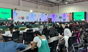 Women's Roundtable at UN-Habitat's WUF12 in Cairo, Egypt.