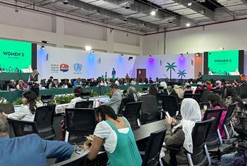 Women’s Roundtable at UN-Habitat’s WUF12 in Cairo, Egypt.