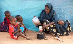 Sahara, her husband and three sons, fled the drought in Somalia to save their few remaining goats. They arrived in Kenya’s Dadaab refugee camps in October.