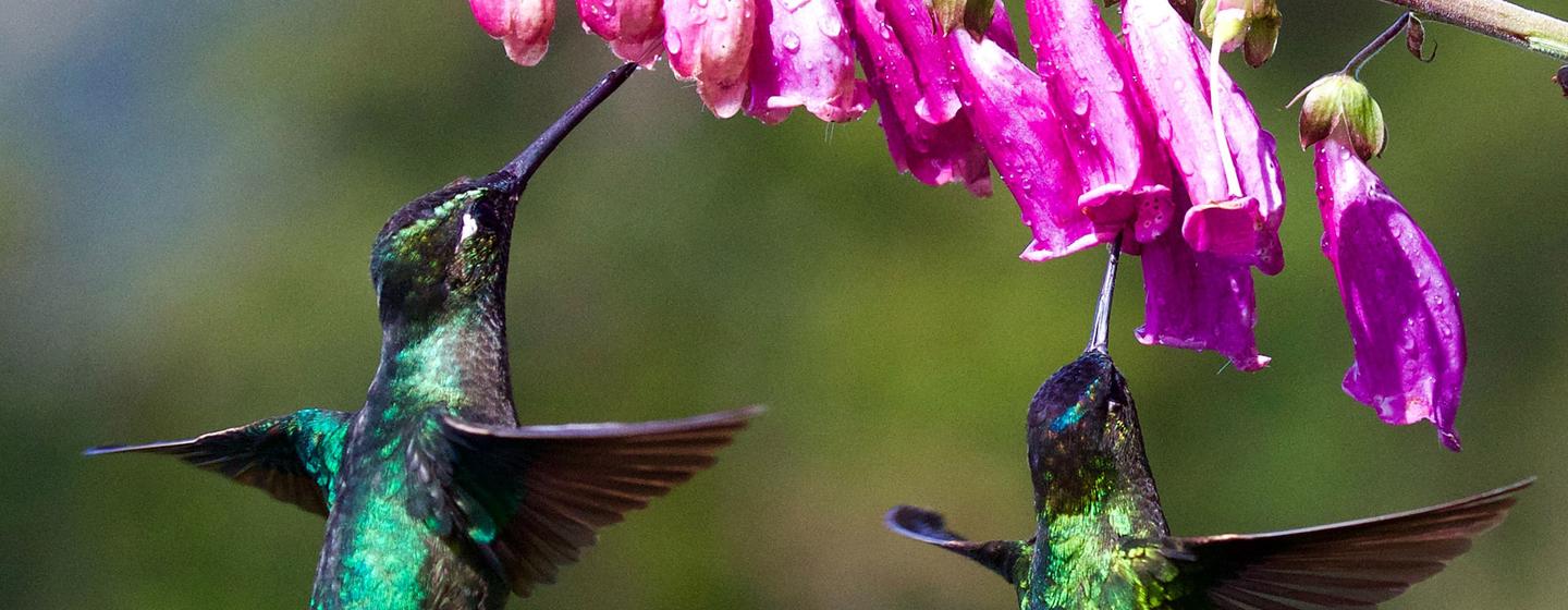 media:entermedia_image:03caa1da-5c0b-4f0d-b350-32077dc55c51