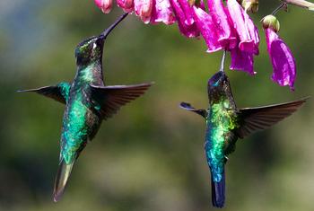 media:entermedia_image:03caa1da-5c0b-4f0d-b350-32077dc55c51