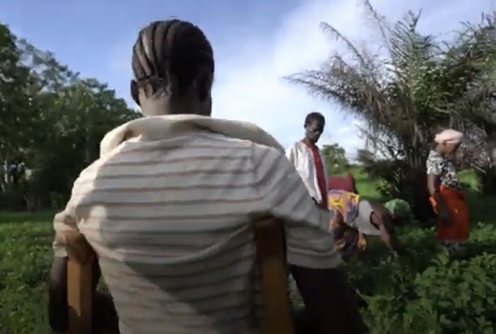Mtazamo kutoka nyuma ya mwanamume aliye kwenye kiti cha magurudumu, akiwa na watu wengine katika uwanja wa kijani kibichi nchini Sierra Leone.