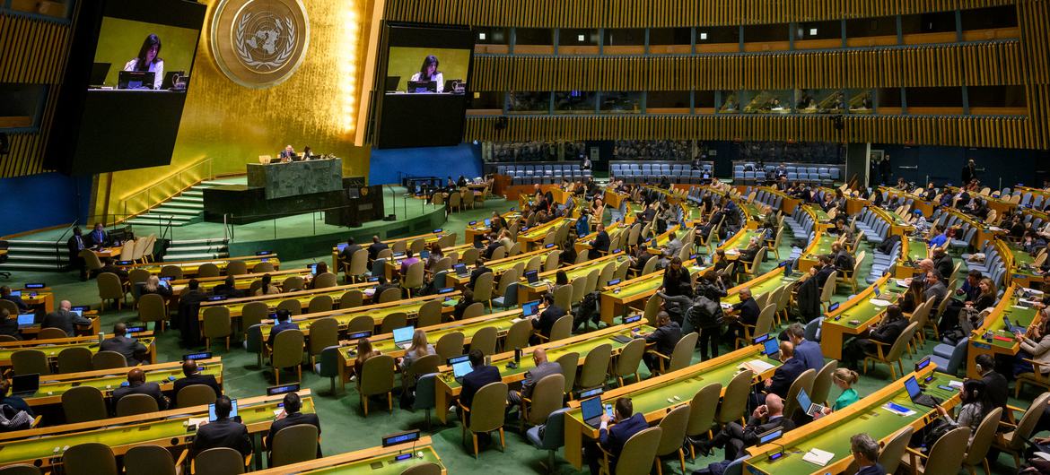 A wide view of the General Assembly during its 48th plenary meeting of the 79th session.