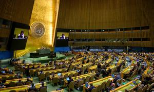 A wide view of the General Assembly. (file photo)