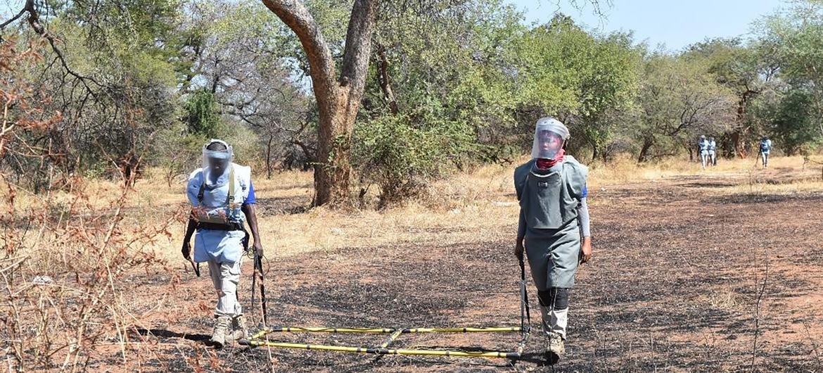 Des équipes de l'UNMAS déminant un terrain au Soudan.