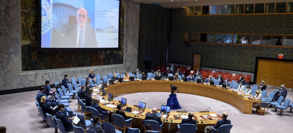 Fernando Arias (on screen), Director-General of the Organization for the Prohibition of Chemical Weapons (OPCW), briefs Security Council members  on the situation in Syria.