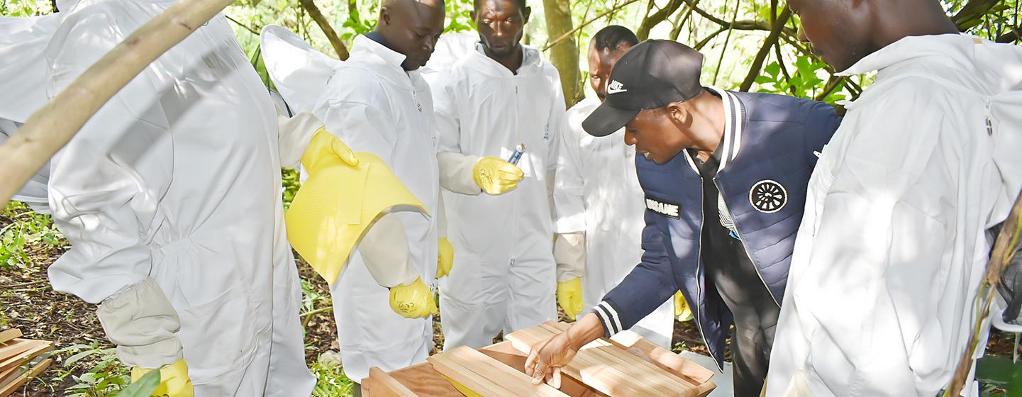 Coopérative apicole autour du Parc Fazao-Malfakassa, au Togo.