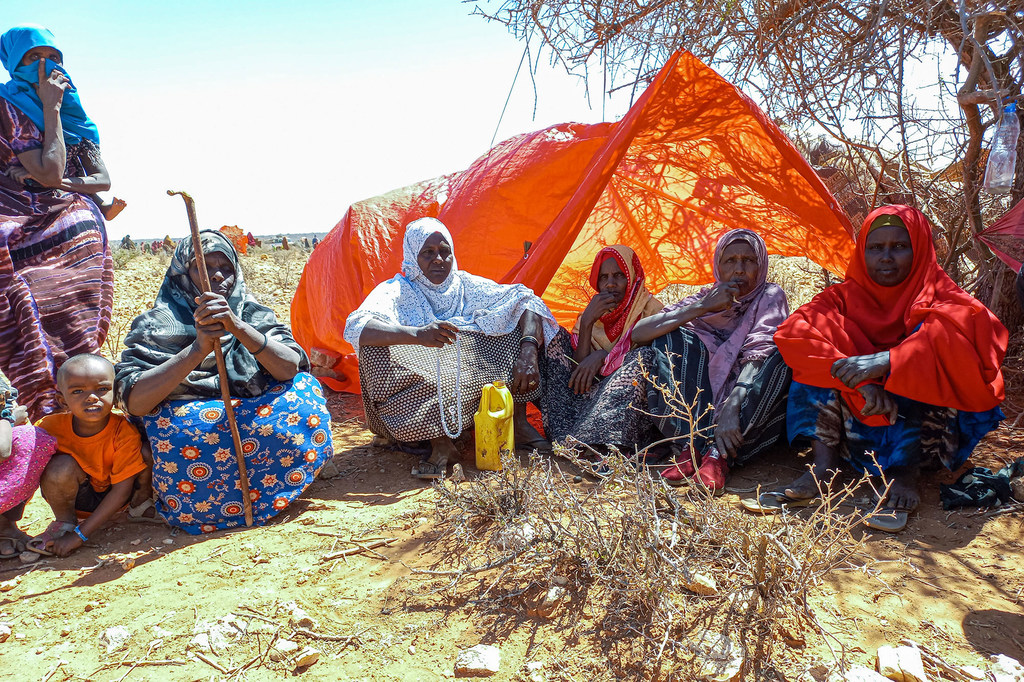 Takriban Wasomali 100,000, wengi wao wakiwa wanawake na watoto, wamekimbia katika wiki za hivi karibuni hadi eneo la Somalia la Ethiopia ili kuepuka mapigano na ukosefu wa usalama katika mji wa Laascaanood katika eneo la Sool.