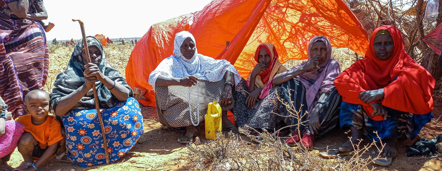 Près de 100.000 Somaliens, principalement des femmes et des enfants, ont fui ces dernières semaines vers la région somalienne de l'Éthiopie pour échapper aux affrontements et à l'insécurité dans la ville de Laascaanood, dans la région de Sool.