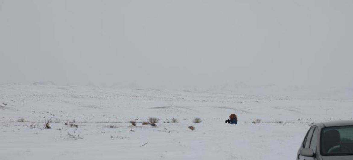 联合国儿童基金会敦促帮助受冬季恶劣天气白灾（Dzud）影响的蒙古国儿童。