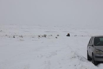 UNICEF urges to help Mongolian children affected by severe winter weather condition called Dzud. 