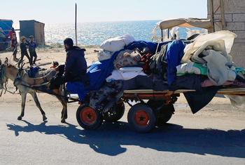 نازح يغادر مدينة رفح باتجاه وسط غزة.