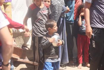 The search for food is a daily struggle in Gaza.