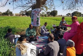 ندوة زراعية ميدانية بمحافظة سوهاج نظمها مشروع تعزيز القدرات التسويقية لصغار المزارعين بالريف المصري (برايم) المدعوم من منظمة الإيفاد. (2022)