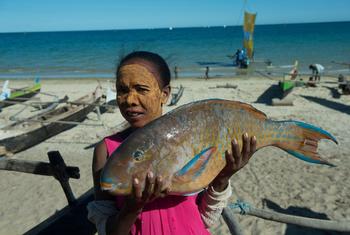 Una joven muestra un gran pez loro que compró a un pescador y que pesa unos 40 kg. Lo llevará a Tulear para venderlo.