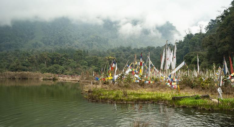 समुदाय के नेतृत्व वाली जैव विविधता प्रबंधन समिति के काम के ज़रिए, तुंगक्यॉन्ग झील को सिक्किम का पहला जैव विविधता विरासत स्थल घोषित किया गया. यहाँ एक अद्वितीय और पारिस्थितिक रूप से नाज़ुक पारिस्थितिकी तंत्र है, जिसके लिए विशेष संरक्षण प्रयासों की आवश्यकता…
