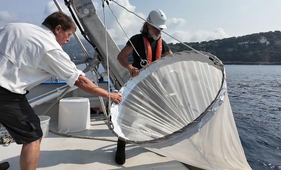 Drifting architects: Plankton, climate, and the race to understand our changing ocean