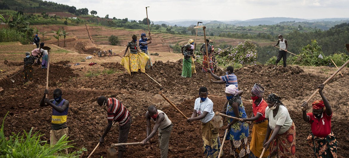 À Kiramutse, au Rwanda, un groupe de personnes prépare la terre pour les cultures en terrasses.
