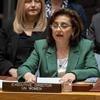 联合国妇女署署执行主任西玛·巴胡斯向联合国安全理事会通报了妇女与和平安全问题。