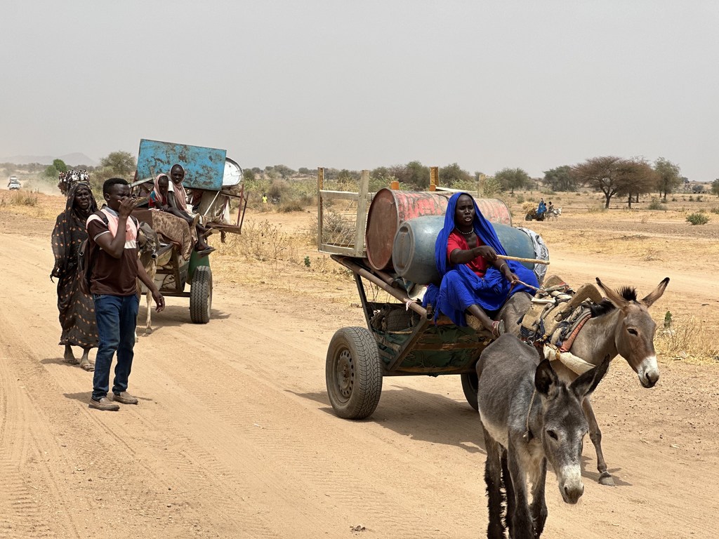 Les combats à El Fasher, au Soudan, et dans les environs ont forcé de nombreuses familles à fuir pour se mettre à l'abri.