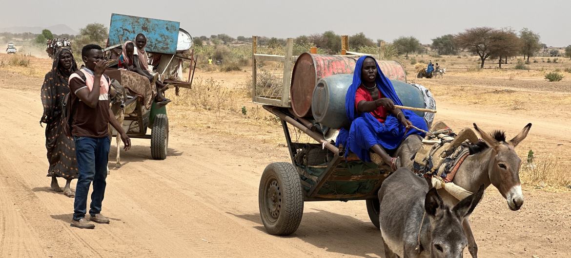 Fighting in and around Sudan's El Fasher has forced many families to flee in search of safety.