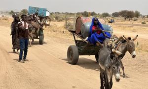 Fighting in and around Sudan's El Fasher has forced many families to flee in search of safety.