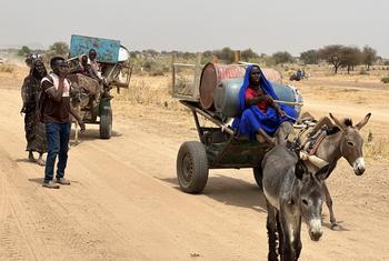 Fighting in and around Sudan's El Fasher has forced many families to flee in search of safety.