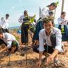 Um grupo de estudantes e membros da comunidade cambojana está plantando mudas de mangue em uma área costeira lamacenta.
