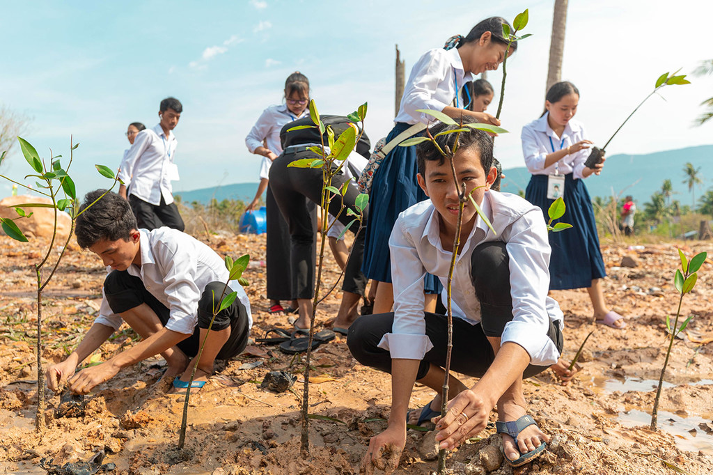طلاب يزرعون أشجار المانجروف في محاولة لتخفيف الأضرار التي لحقت بساحل كمبوديا.