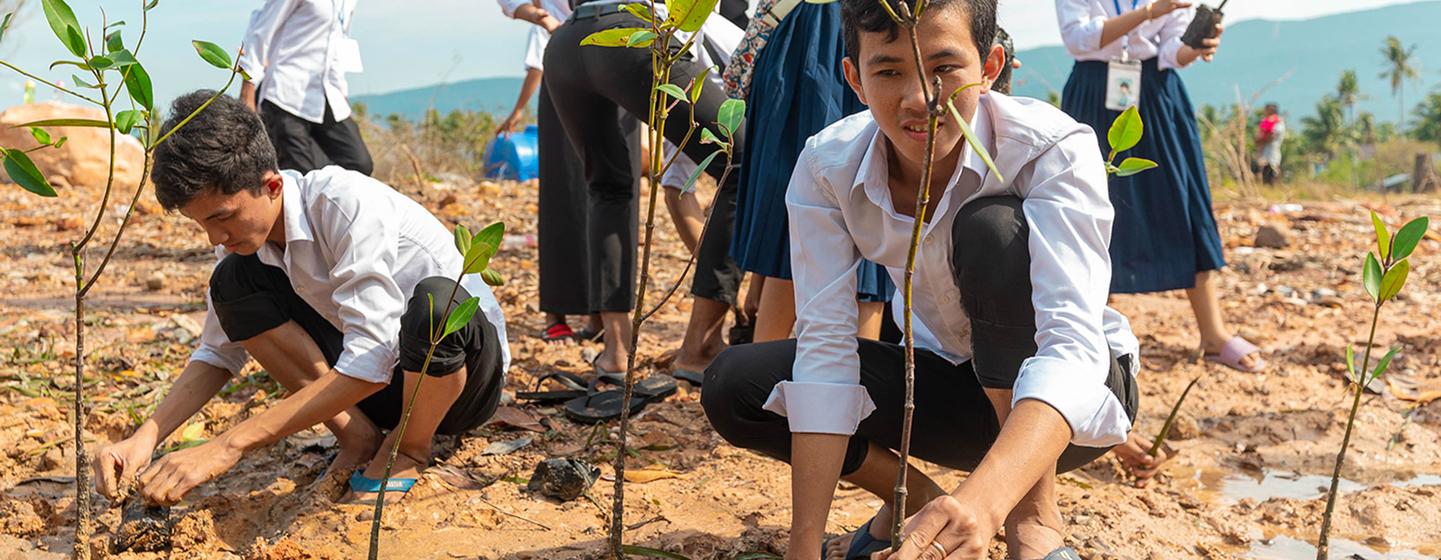 柬埔寨的学生们种植红树林，以减轻海岸线遭到的破坏。