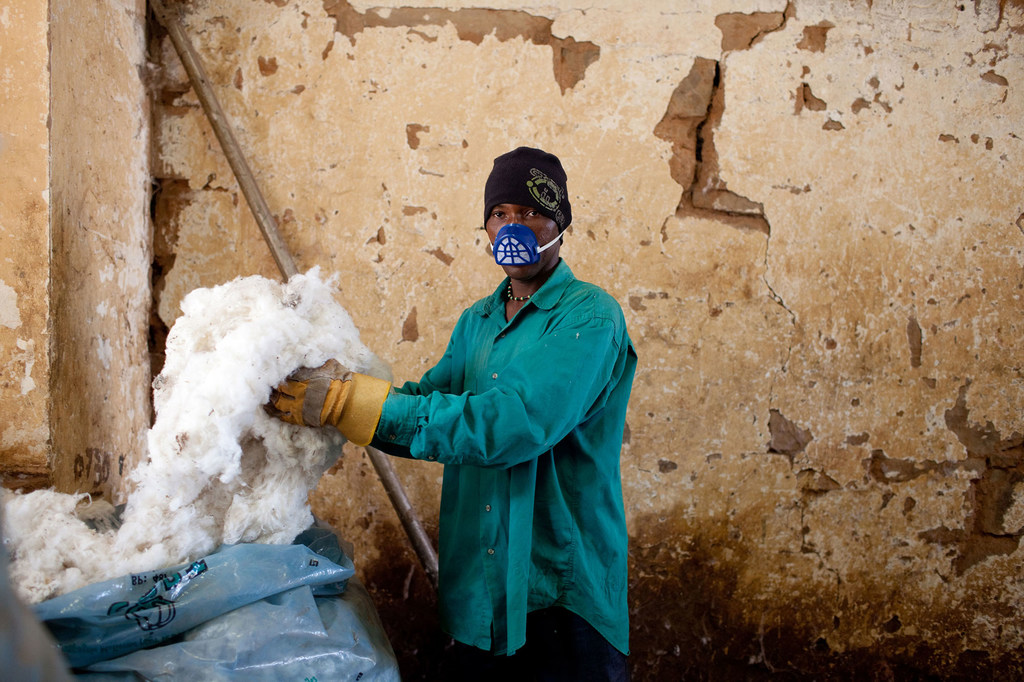 La production de coton contribue de manière significative à l'économie malienne malgré des conditions commerciales souvent difficiles.