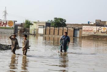 在巴基斯坦开伯尔-普赫图赫瓦省受灾最严重的地区之一瑙谢拉卡兰，两个男孩和一名拄着拐杖的男子穿过被洪水淹没的街道。