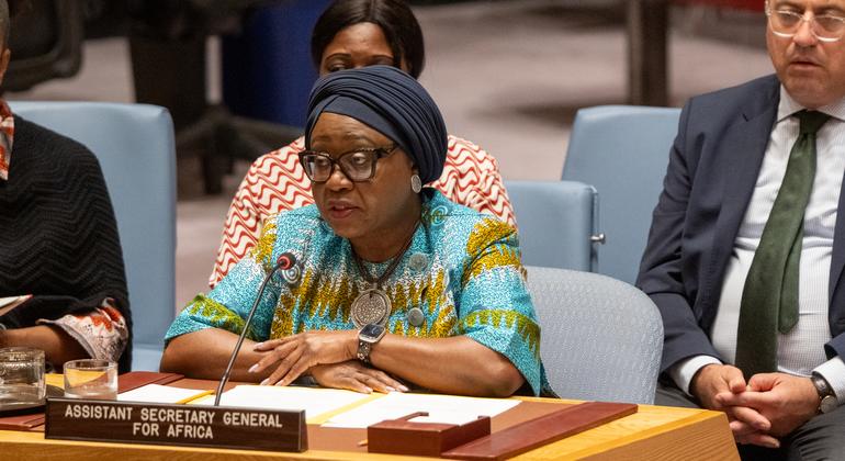 联合国负责非洲事务的助理秘书长波比在安理会上发言。