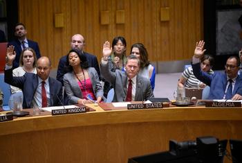 美国常驻联合国代表沃尔兹。