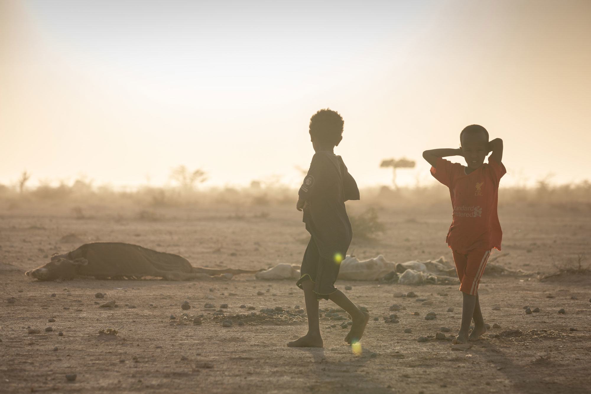 Three consecutive failed rainy seasons have brought on severe drought in the Somali region of Ethiopia.