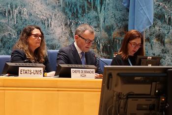 انسانی حقوق کونسل کے سربراہ یورگن لاور (درمیان) میں امریکہ میں انسانی حقوق کی صورتحال کا جائزہ لینے کے لیے ہونے والے اجلاس کی صدارت کر رہے ہیں۔