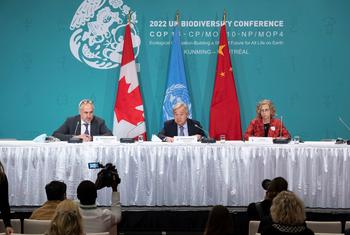الأمين العام أنطونيو غوتيريش خلال المؤتمر الصحفي في مؤتمر التنوع البيولوجي COP15 في مونتريال، كندا، وإلى جانبه إلى جانب إنغر أندرسن، المديرة التنفيذية لبرنامج الأمم المتحدة للبيئة (UNEP).