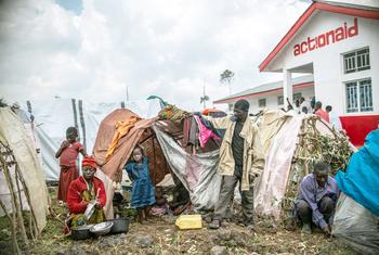Familia desplazada por la violencia la provincia de Kivu del Norte, en el este de la República Dempocrática del Congo.