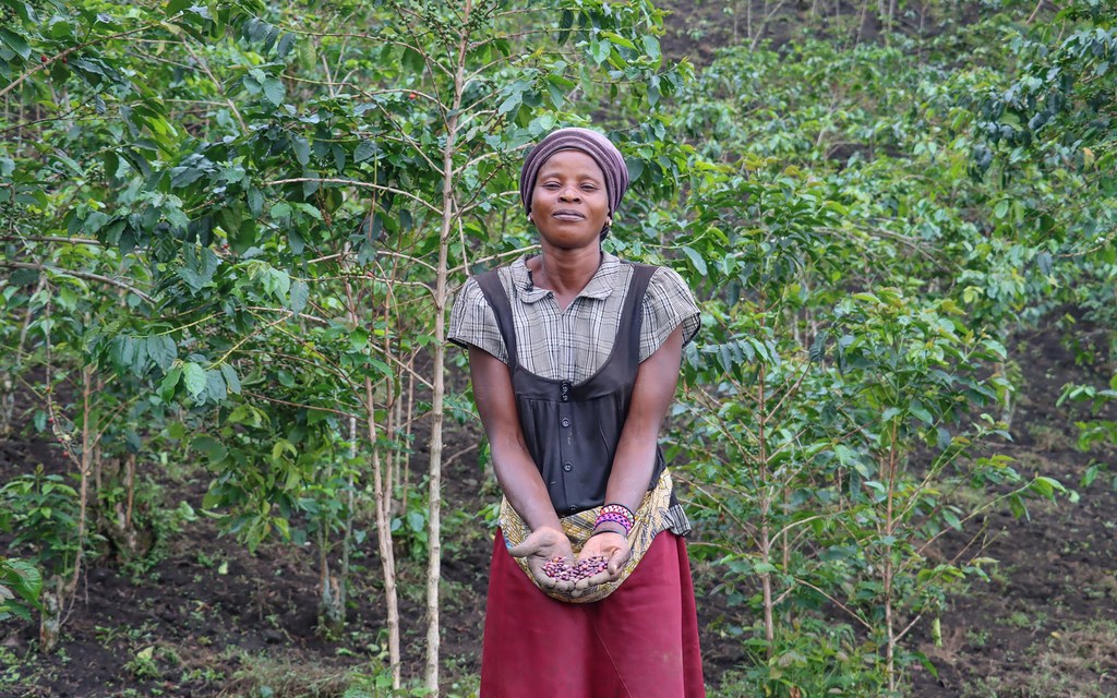 Bushashire Zawadi  est cultivatrice  dans le champ de café à Nyangoma en République démocratique du Congo.
