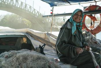 土耳其戈尔科瓦湾的捕鱼妇女。