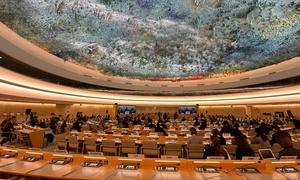 El Consejo de Derechos Humanos en una reunión sobre la situación de esas garantía en Irán.